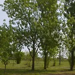 Tenuta Zavaia SantʼArcangelo di Romagna