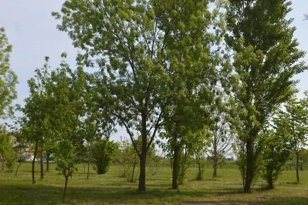 Tenuta Zavaia SantʼArcangelo di Romagna