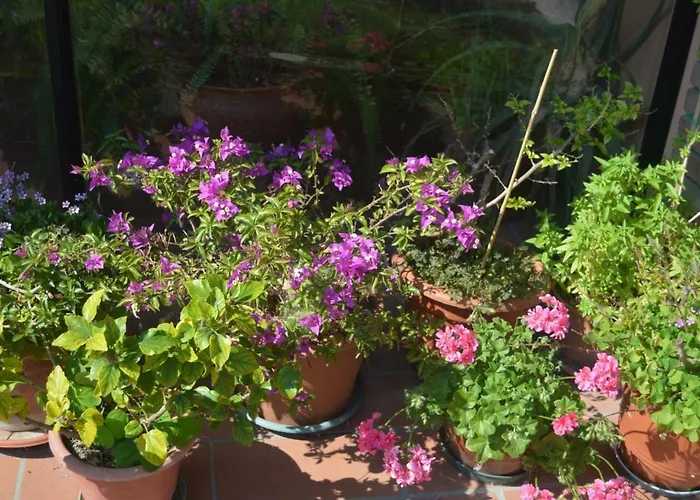 Bed & Breakfast Tenuta Zavaia 3*