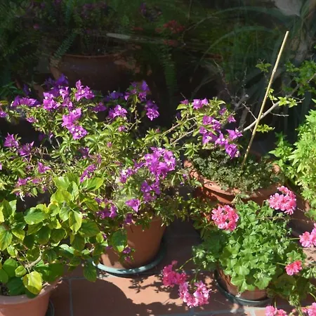 Bed & Breakfast Tenuta Zavaia 3*